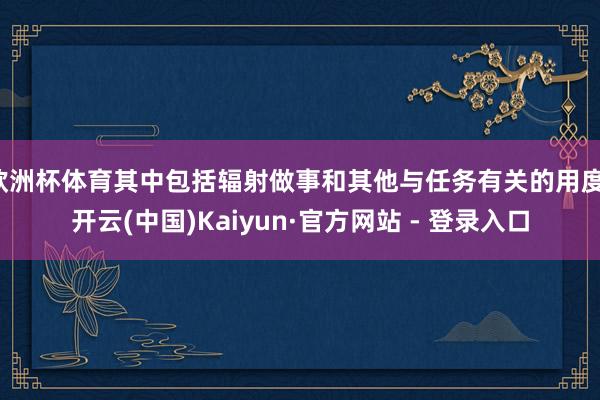 欧洲杯体育其中包括辐射做事和其他与任务有关的用度-开云(中国)Kaiyun·官方网站 - 登录入口