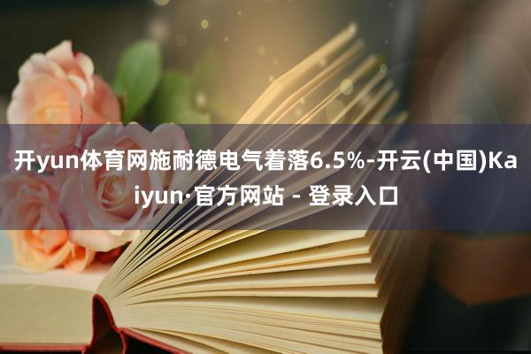 开yun体育网　　施耐德电气着落6.5%-开云(中国)Kai
