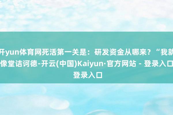 开yun体育网死活第一关是：研发资金从哪来？“我就像堂诘诃德-开云(中国)Kaiyun·官方网站 - 登录入口