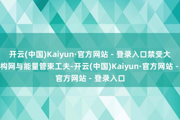 开云(中国)Kaiyun·官方网站 - 登录入口禁受大容量储